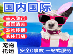 常州奔牛航空邮寄国际宠物托运 【国
